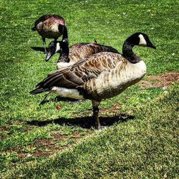 E.B. Rains Park - Parks Near Me - Northglenn, Colorado
