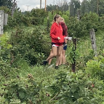 Becker Farms - Raspberry season - Venues & Event Spaces Near Me - Gasport, New York Becker Farms - Raspberry season - Venues & Event Spaces Near Me - Gasport, New York