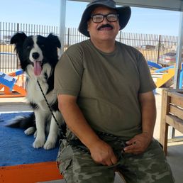 Cosmo, sitting politely for Miguel.