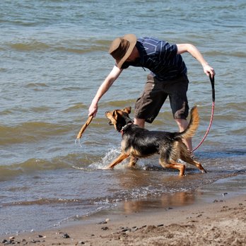 Maniac Mutts - Pet Training Near Me Maniac Mutts - Pet Training Near Me