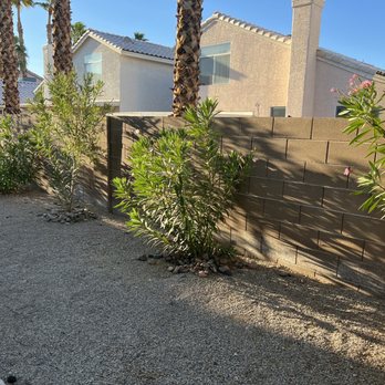 Monkey Tree & Lawn Service - After! - Gardeners Near Me Monkey Tree & Lawn Service - After! - Gardeners Near Me