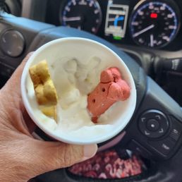 Best pup cup ever.