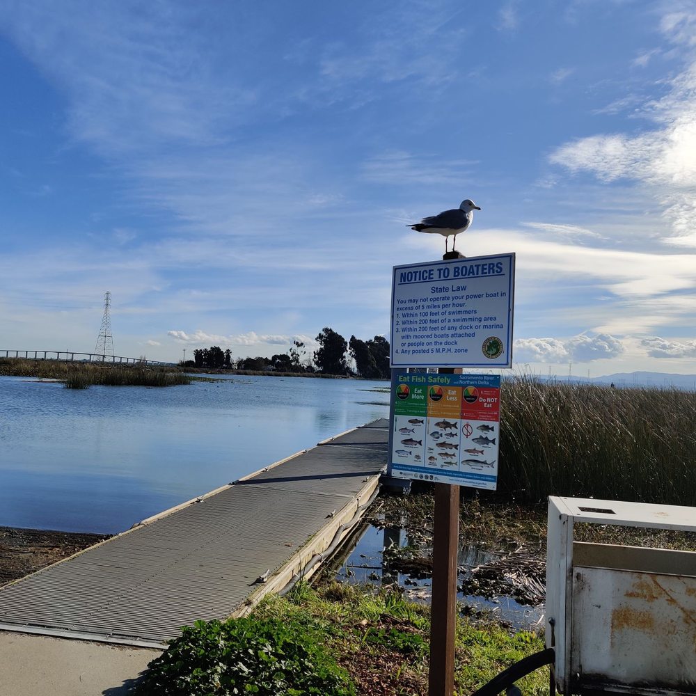 TOP 10 BEST River Swimming in Fairfield, CA - Updated 2026 - Yelp