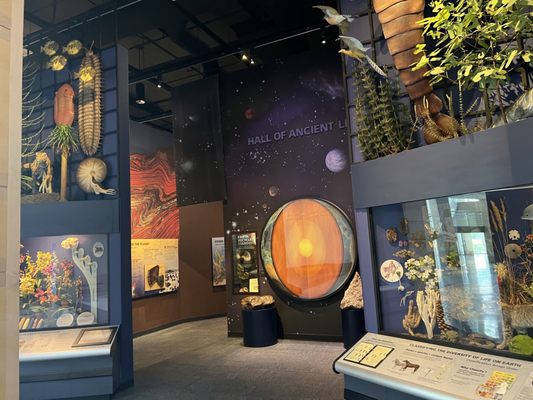 Sam Noble Oklahoma Museum of Natural History by null