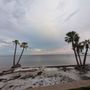 Photo of Flora Wylie Park