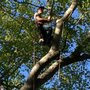 Photo of Ruff's Lawn & Tree Service