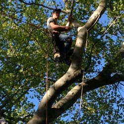 Ruff's Lawn & Tree Service