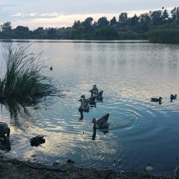 Guajome Regional Park - The lake - Parks Near Me - Oceanside, California