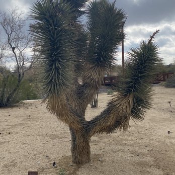 Centennial Hills Park - Parks Near Me - Las Vegas, Nevada Centennial Hills Park - Parks Near Me - Las Vegas, Nevada