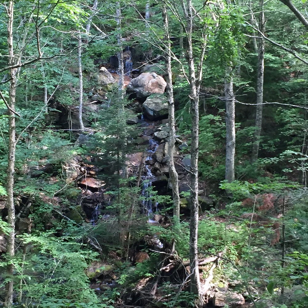 Bucklin Trail - Waterfall - Hiking Near Me - Mendon, Vermont