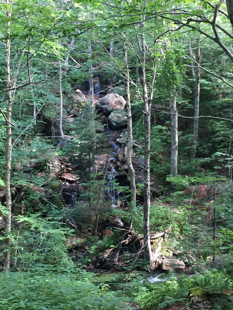 BUCKLIN TRAIL Updated October 2024 17 Photos 28 Wheelerville Rd