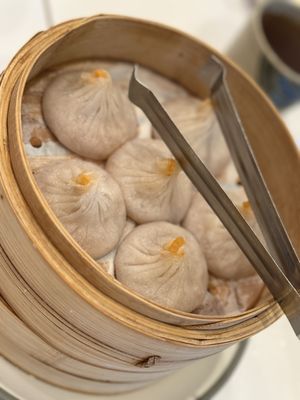 Soup Dumpling Plus by null