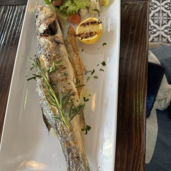 Alacati Mediterranean Restaurant - Whole branding - Mediterranean Near Me - Plantation, Florida