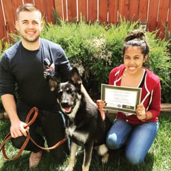 loyal k9 dog training