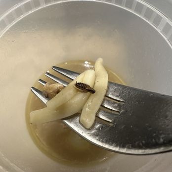 Dumpling Kitchen - Shanghainese Near Me - Berkeley, California