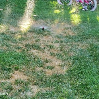 Meza Landscaping - New grass condition - Landscaping Near Me