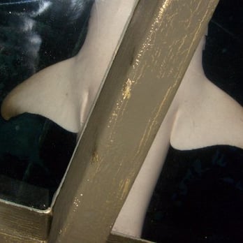 Sealife Centre - Aquariums Near Me - Blackpool, LAN