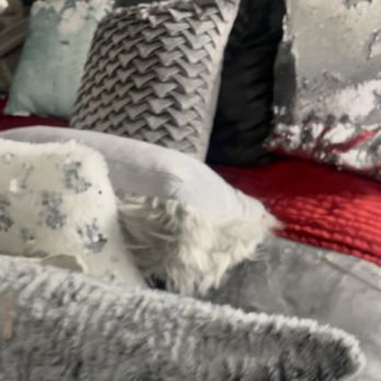 Loly's Cleaning - Pillows a mess - Office Cleaning Near Me Loly's Cleaning - Pillows a mess - Office Cleaning Near Me