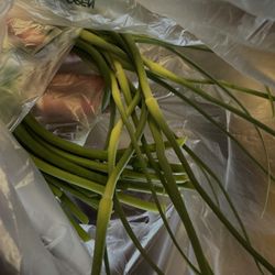 Fare Share Food Cooperative - Garlic scapes!