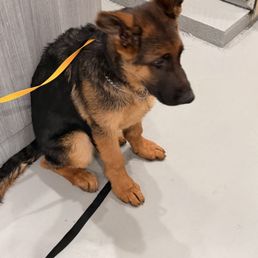 Jaxx Jaxx