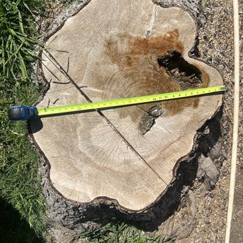 Robert Tompkins Tree Service - Stump - Tree Services Near Me - Chico, California