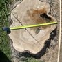 Photo of Robert Tompkins Tree Service