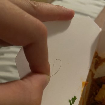 Adamo's - Nice hair I found in my food - New American Near Me - Sacramento, California Adamo's - Nice hair I found in my food - New American Near Me - Sacramento, California