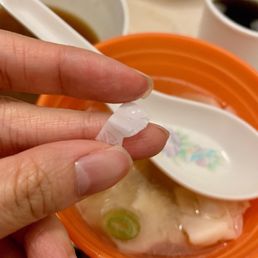 Mysterious piece of plastic embedded in wonton :(