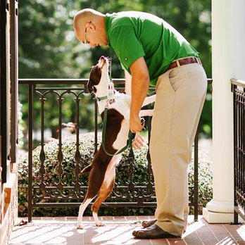 Killingsworth Environmental - Keep man's best friend happy and healthy! Ask us about our pest control plans with Flea & Tick Protection. - Pest Control Near Me - Concord, North Carolina