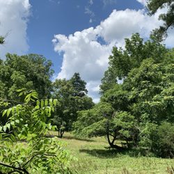 B-Bar Farm & Tack Shop - Scenery