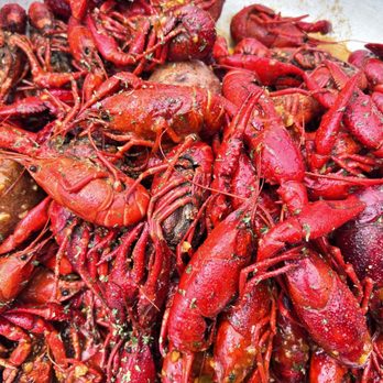Hot and Buttered - Pop-Up Restaurants Near Me - Houston, Texas Hot and Buttered - Pop-Up Restaurants Near Me - Houston, Texas