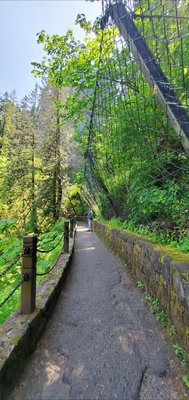 Multnomah Falls Lodge by null