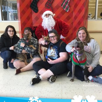 Petco - Pet Training Near Me - Kennesaw, Georgia