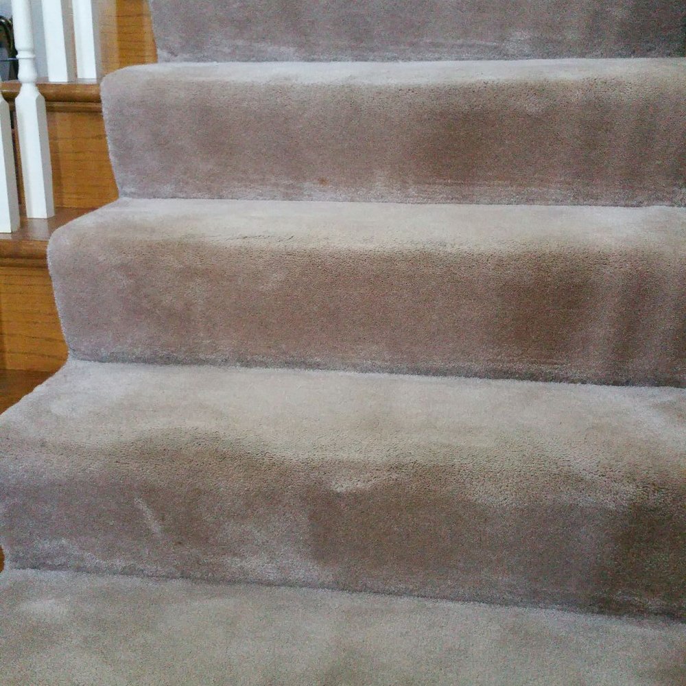 Green Cleaning Solutions - After using Green Cleaning Solution, these steps look as good as new. This carpet dates back to 1995 and has seen many kids and pets! - Carpet Cleaning Near Me Green Cleaning Solutions - After using Green Cleaning Solution, these steps look as good as new. This carpet dates back to 1995 and has seen many kids and pets! - Carpet Cleaning Near Me