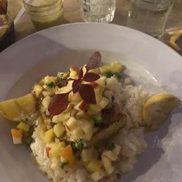 Mahi Mahi Mahi Mahi