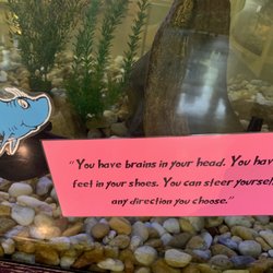 Oxbow Meadows Environmental Learning Center - Fish tank