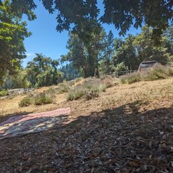 Los Gatos Farms - Lavender