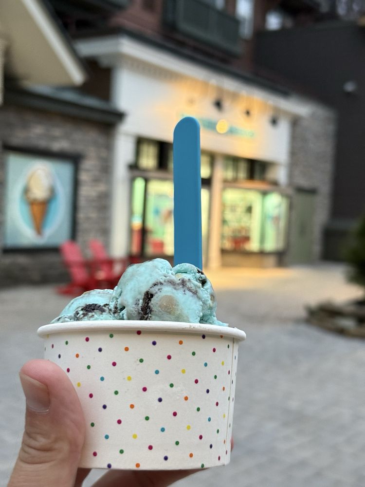 The Village Scoop Logo
