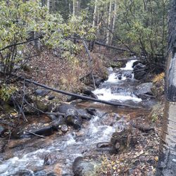 Threemile Creek Trail