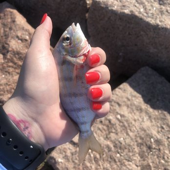 CC Nails - Nails over one month grown and I am not gentle with my hands. - Nail Salons Near Me - Houston, Texas CC Nails - Nails over one month grown and I am not gentle with my hands. - Nail Salons Near Me - Houston, Texas