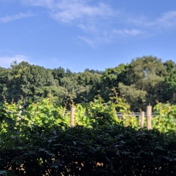 Cody Kresta Vineyard and Winery - Wineries Near Me - Mattawan, Michigan Cody Kresta Vineyard and Winery - Wineries Near Me - Mattawan, Michigan
