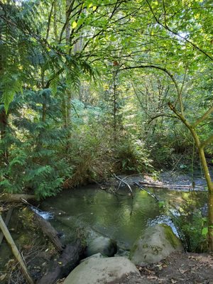 Carkeek Park by null