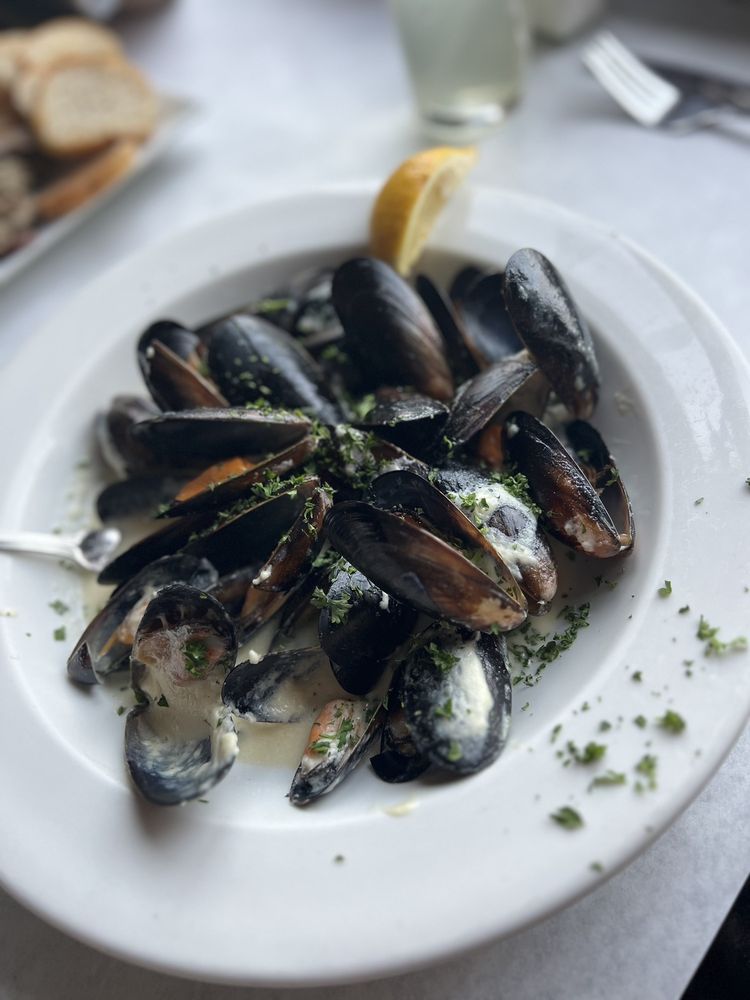 RACCOON SALOON - Updated June 2024 - 47 Photos & 125 Reviews - 1330 Rt