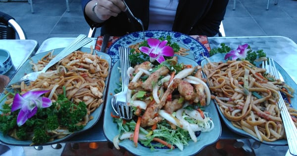 Lilas d'Asie - Rixensart, WBR Lilas d'Asie - Rixensart, WBR