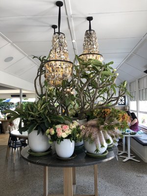 The Boathouse Shelly Beach by null