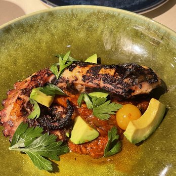 kann - Octopus - $25 - Caribbean Near Me - Portland, Oregon