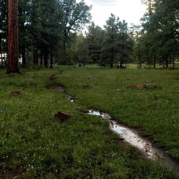 Rim Lakes Recreation Area - After some rain, the little makeshift trail from a neighboring campsite to the bathrooms became a mini creek - Lakes Near Me - Heber-Overgaard, Arizona Rim Lakes Recreation Area - After some rain, the little makeshift trail from a neighboring campsite to the bathrooms became a mini creek - Lakes Near Me - Heber-Overgaard, Arizona