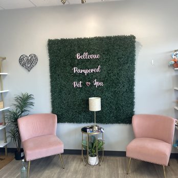 Bellevue Pampered Pet Spa - Entrance - Pet Sitting Near Me - Bellevue, Nebraska