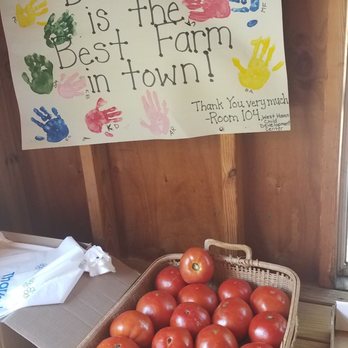 B & B Flower Farm - Ice Cream & Frozen Yogurt Near Me - West Haven, Connecticut