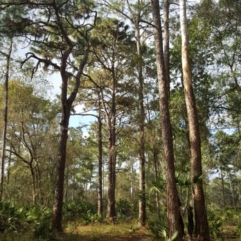 Tibet-Butler Preserve - Parks Near Me - Orlando, Florida Tibet-Butler Preserve - Parks Near Me - Orlando, Florida